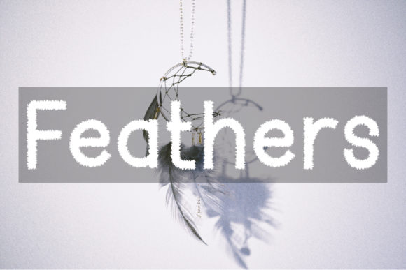 Feather: A Unique Display Font That Elevates Design