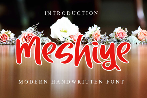 Meshiye: A Playful Font That Brings Creativity to Life
