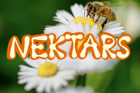 Nektars Font: A Bold and Unique Display Typeface