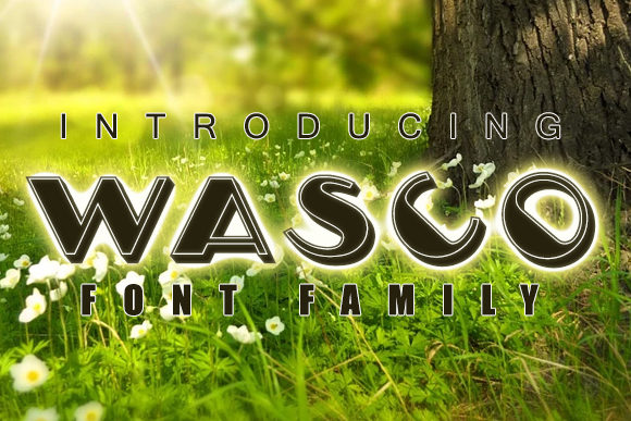 Wasco: A Versatile Display Font for Creative Projects